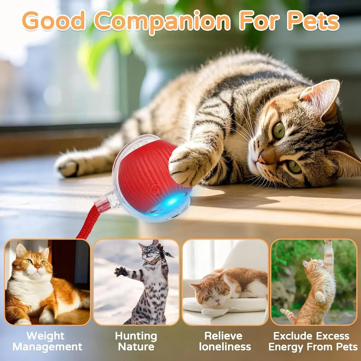 Ilmh Cat Interactive Ball Toy