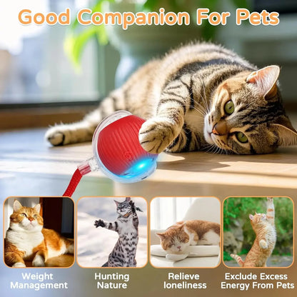 Ilmh Cat Interactive Ball Toy