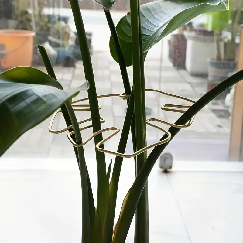 Hanging Plant Stand Iron Hooks