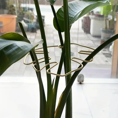 Hanging Plant Stand Iron Hooks