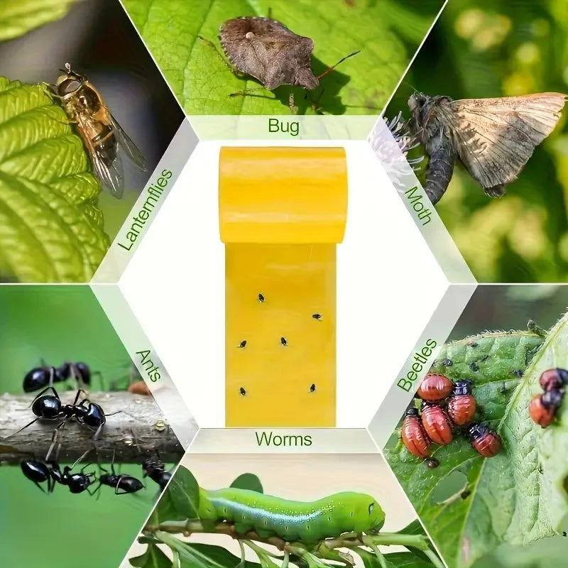 Roll Double-sided Sticky Insect Barrier