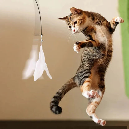 Cat Teaser Toy Interactive Bell