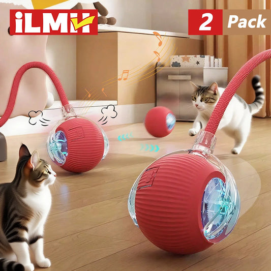 Ilmh Cat Interactive Ball Toy