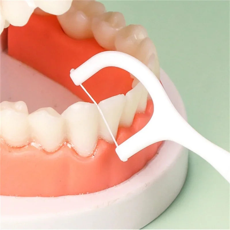 Box Disposable Dental Floss Plastic