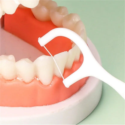 Box Disposable Dental Floss Plastic