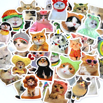 Funny Cat Stickers Cartoon Cute
