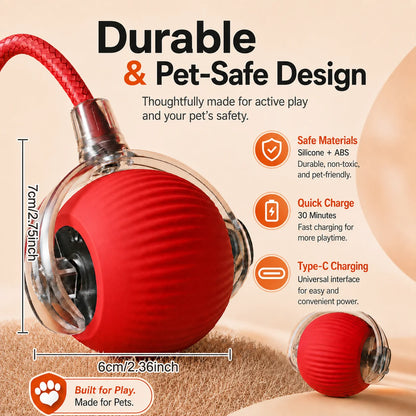 Dog Interactive Ball Toy Automatic