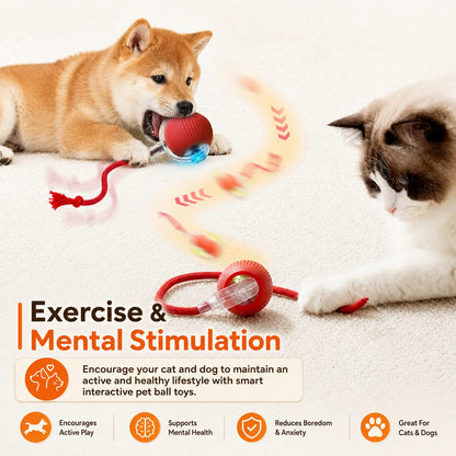 Dog Interactive Ball Toy Automatic