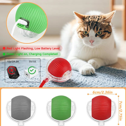 Ilmh Cat Interactive Ball Toy