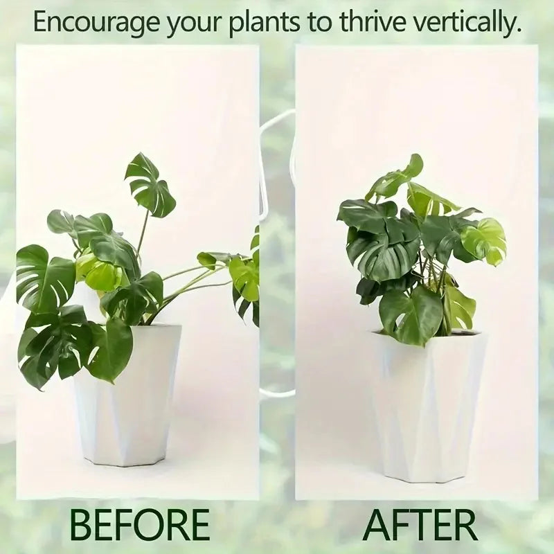 Hanging Plant Stand Iron Hooks