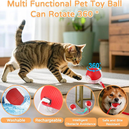 Ilmh Cat Interactive Ball Toy