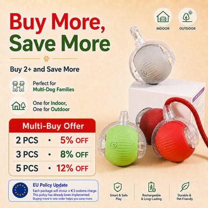 Dog Interactive Ball Toy Automatic